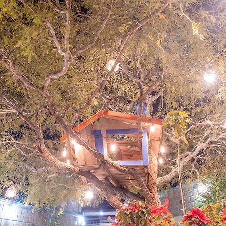 Hotel Casa Del Arbol Bernal Kültér fotó