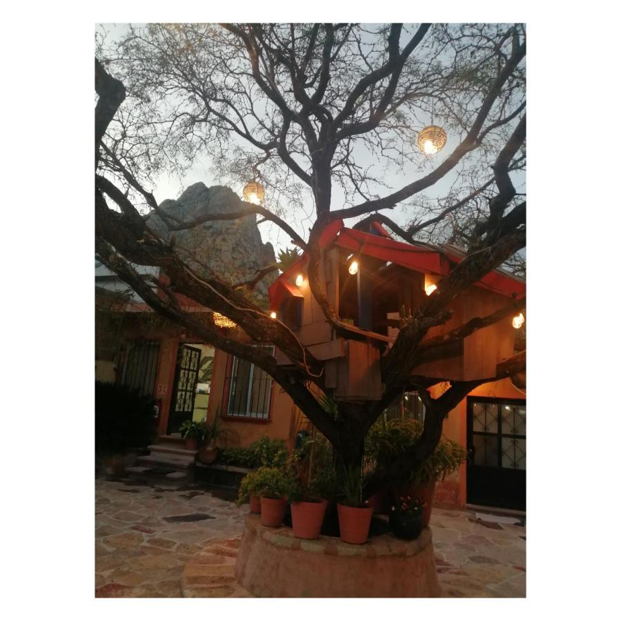 Hotel Casa Del Arbol Bernal Kültér fotó