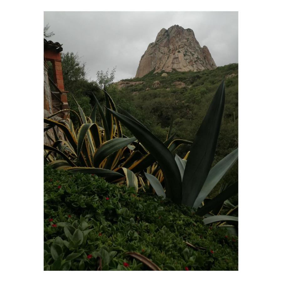 Hotel Casa Del Arbol Bernal Kültér fotó