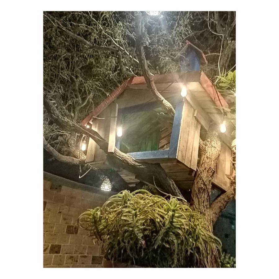 Hotel Casa Del Arbol Bernal Kültér fotó
