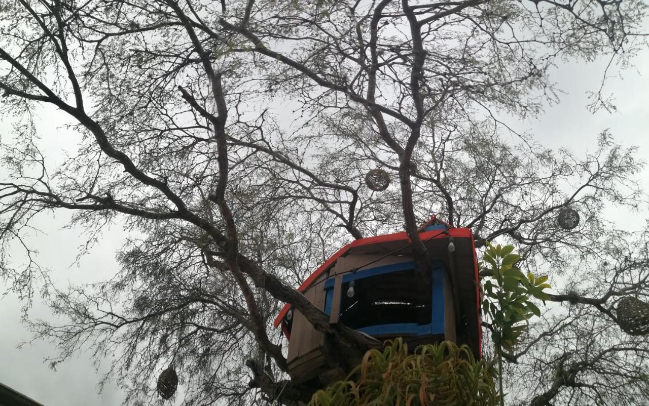 Hotel Casa Del Arbol Bernal Kültér fotó