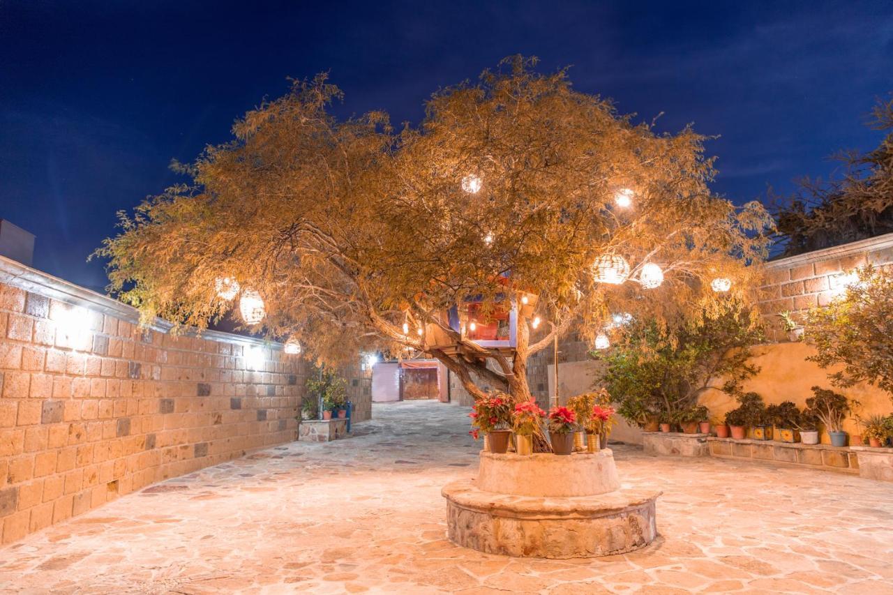 Hotel Casa Del Arbol Bernal Kültér fotó